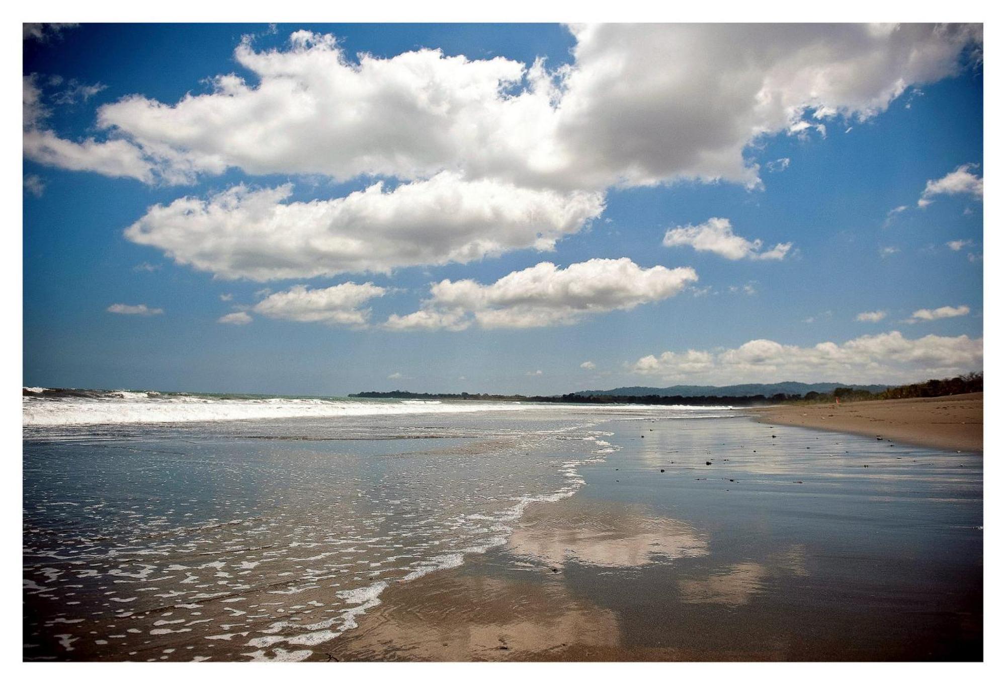 Agua Dulce On The Beach Puerto Jiménez Exteriör bild